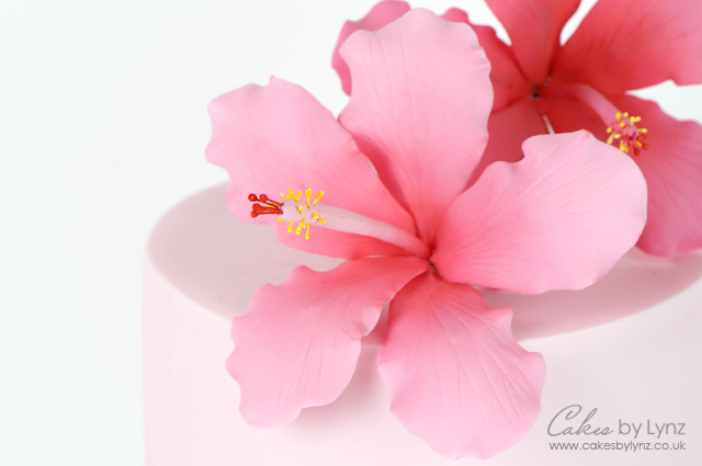 Gumpaste hibiscus flower tutorial