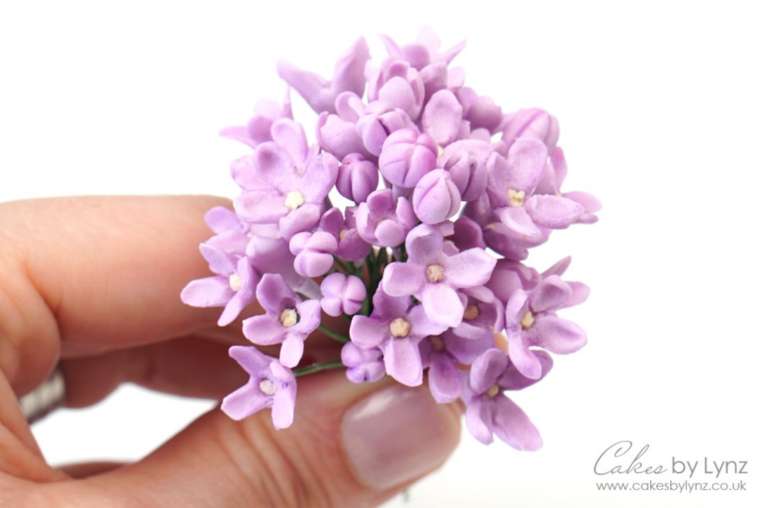 gumpaste lilacs