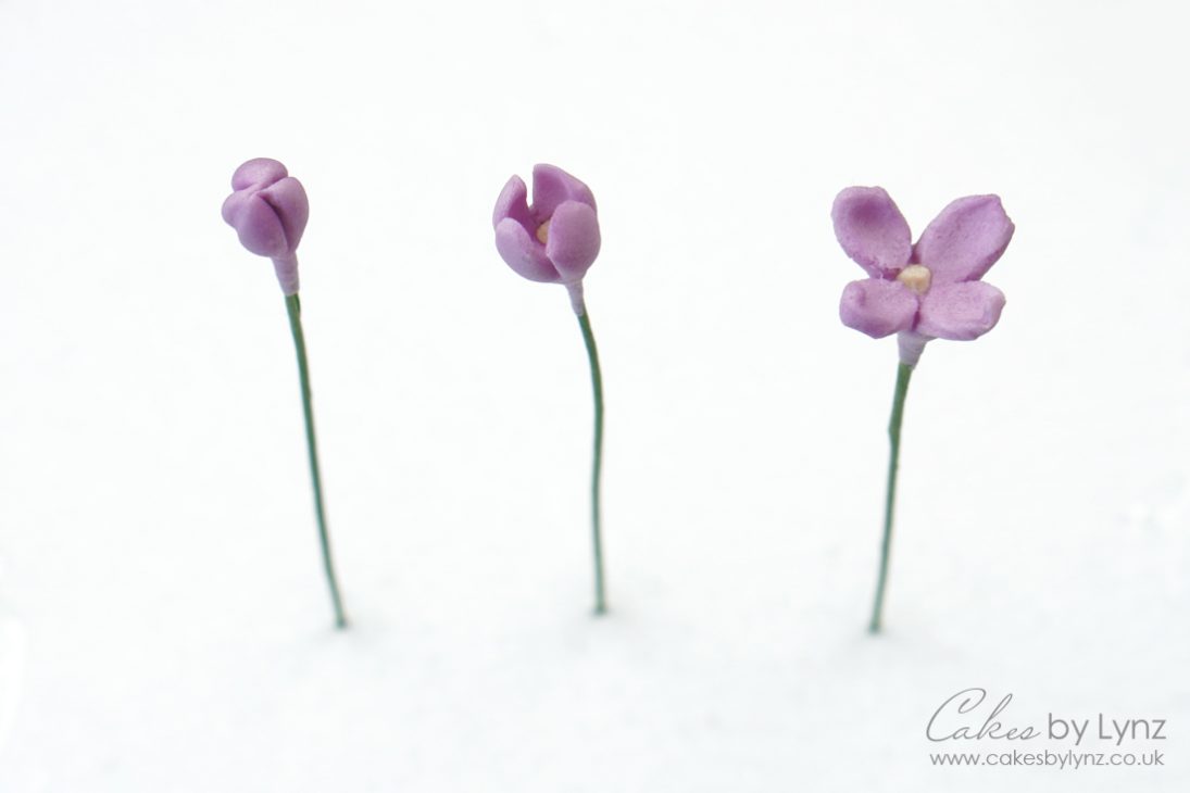 Gumpaste lilac flowers
